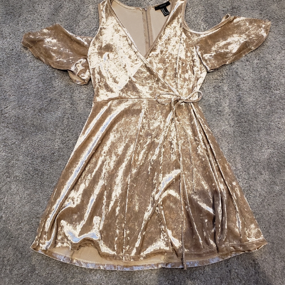 F21 velour dress